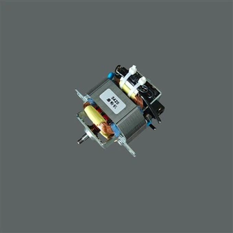 Endüstriyel-Sınıf AC Öğütme Değirmeni Motoru