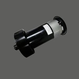 Spor Makinesi için T59 220 V Dc Motor