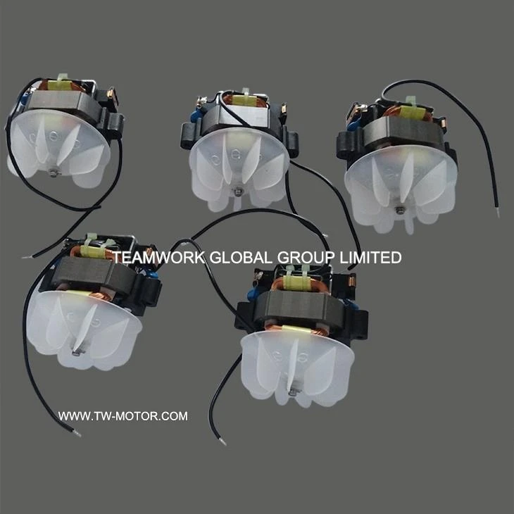 Electric Hairdryer Motor Factory
