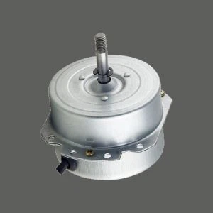 Blower Fan Motoru