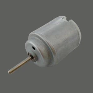 Low Voltage DC Motor