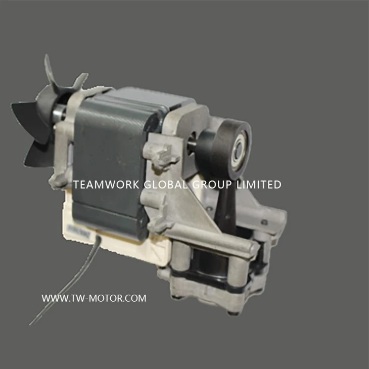 Medical Aspirator Motor