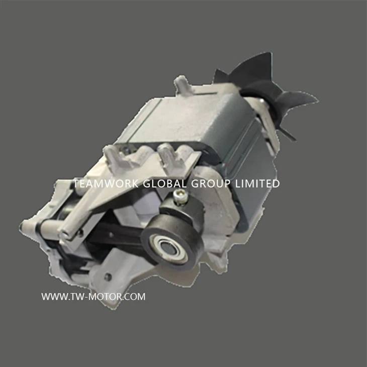 Medical Aspirator Motor