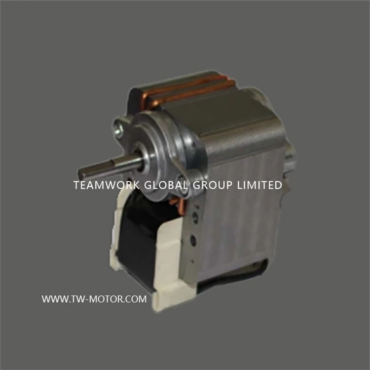 Small Oil Pump Motor