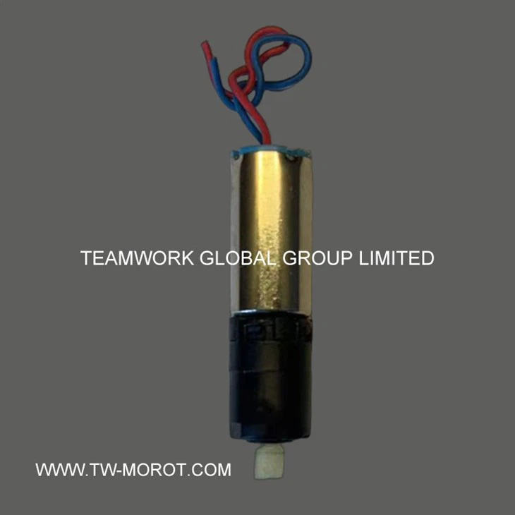 Toy Motor